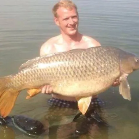 Casa Peninsula 2 카스페