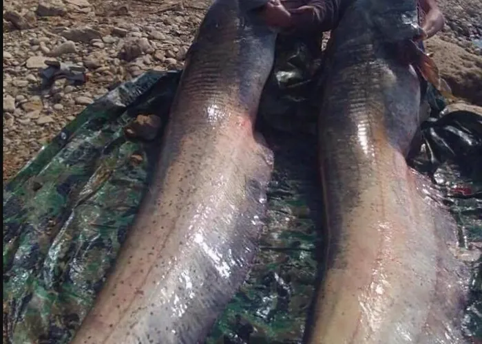 Casa Peninsula 2 Alpstuga Caspe